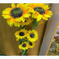 Sun Flower Potted Plant