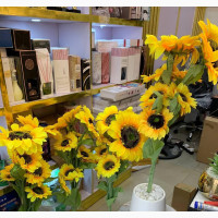 Sun Flower Potted Plant