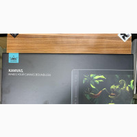 Kamvas Pro 12