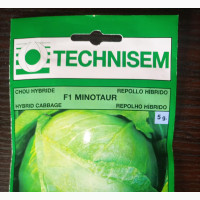 Hybrid Cabbage Seeds - Get the Best from TECHNISEM