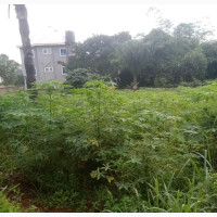 10 Plots of Land for Sale at Crescent Iyi Agu