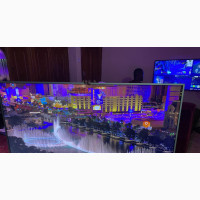 Philips 55 Android UHD Dolby Vision, 3 Side Ambient Light
