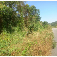 5000 Acres of Land at Olode, via Ifetedo, Virgin Land