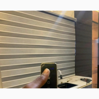 Window With Remote