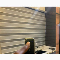 Window With Remote