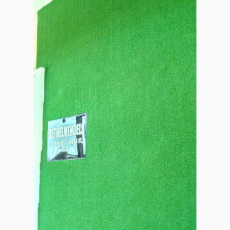 Great Quality Turf Grass