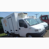 Fiat 343 2006