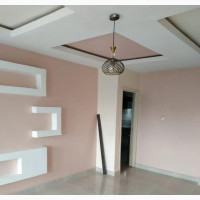 Professional House Painting and Interior Design Services