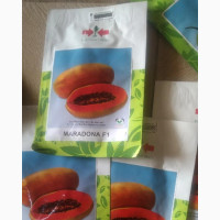 Dwarf Pawpaw Seeds( Maradona F1)
