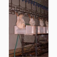 Automatic Chicken Slaughter House Machine - Brand New