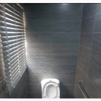 Professional Plumber