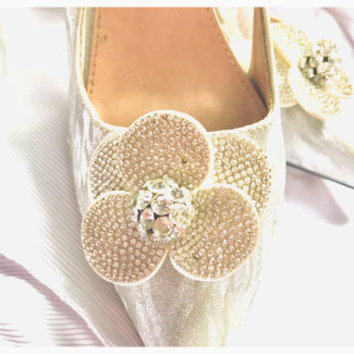 Stylish Silver Cover Shoe