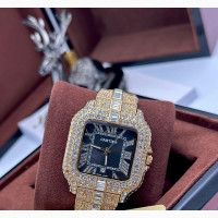Classy Unisex Cartier Ice Wristwatch