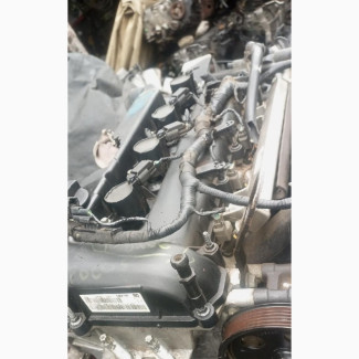 Ford Escape 4 Plunge
