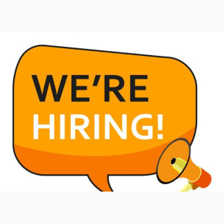 Social Media Manager / Assistant