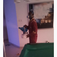 Professional Fumigation and Cleaning Services - Junebug Pest Control