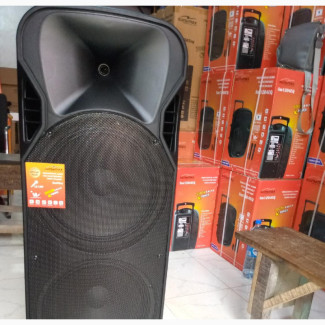 Sony Max PA System Double 15inchs