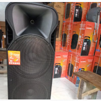 Sony Max PA System Double 15inchs