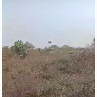 Plots of Land for Sale Both Government Allocation