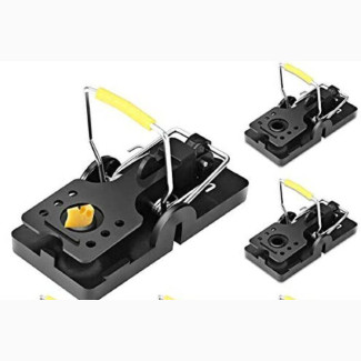 Reusable Mouse Trap