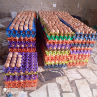 180 crates of fresh eggs are available for immediate pickup