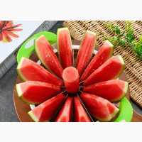 Melon Slicer