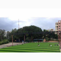 Grass Carpet Rug the Best for Garden, Field, Pitch, Anywhere