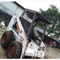 Bobcat for Sale