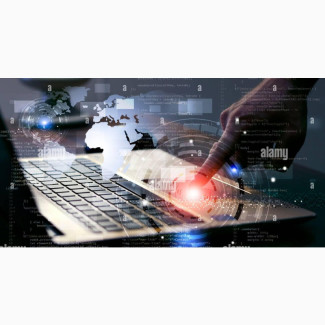 Software Development (Web)