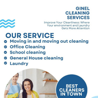 Professional House and Office Cleaning
