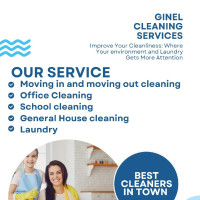 Professional House and Office Cleaning