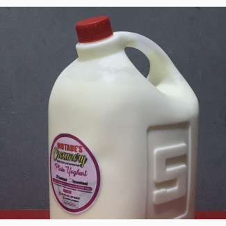Creamy Probiotic Yoghurt - Homemade and Nutritious