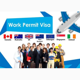 Working Visa