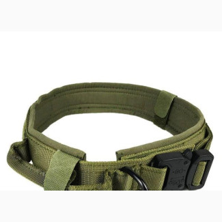 XL Wide Dog Collar - Perfect for Large Dogs
