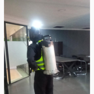 Professional Fumigation Service by Junebug Pest Control