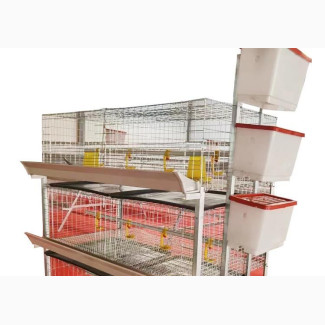 Chicken and Rabbit Cages Seller in Nigeria