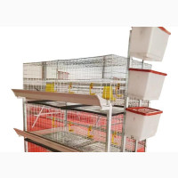 Chicken and Rabbit Cages Seller in Nigeria
