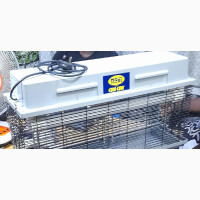 Original Cri Cri Insect Killer - Best Quality and Reliable