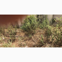 Plot of Land at Ayekale