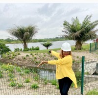 Land for Sale in Epe