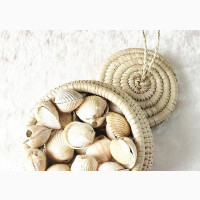 Money Shell