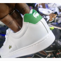 Lacoste Sneakers - Affordable and Quality