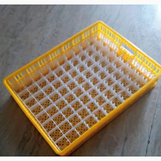Setters and Hatching Baskets