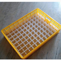 Setters and Hatching Baskets