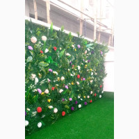 Wall Grass