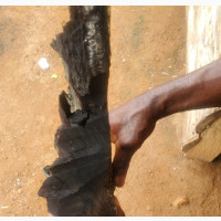 Black Ebony Wood for Sale