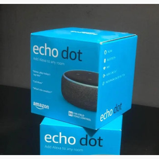 Echo Dots Alexa