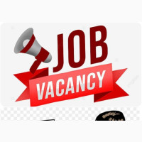 Computer Operator Needed (Arab Road, Kubwa)