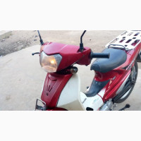 CityCoco City 2019 Red