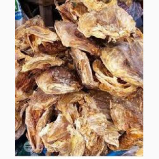 1Kg Stock Fish Head and Ear cut